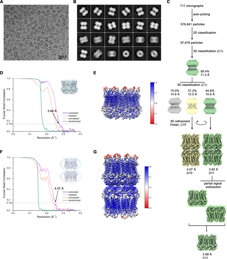 Figure 3—figure supplement 3.