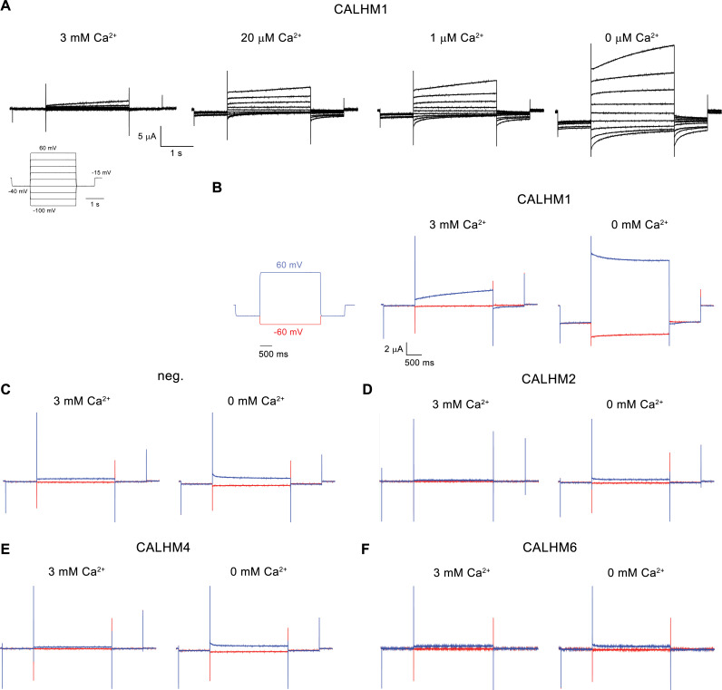 Figure 2—figure supplement 1.