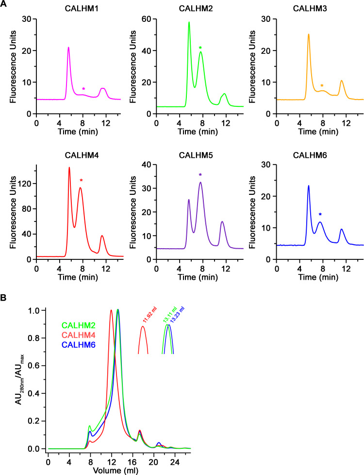 Figure 3—figure supplement 1.