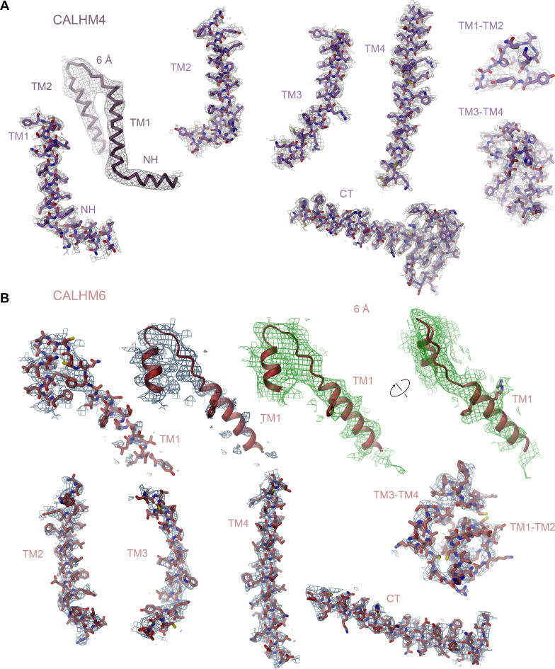 Figure 3—figure supplement 5.