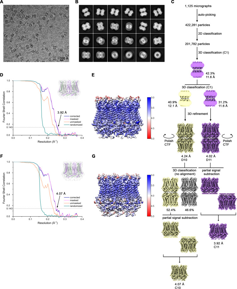 Figure 3—figure supplement 2.