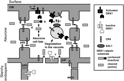 Figure 11.