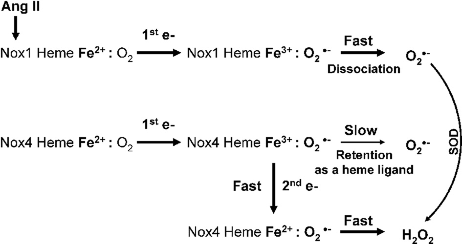 Figure 8