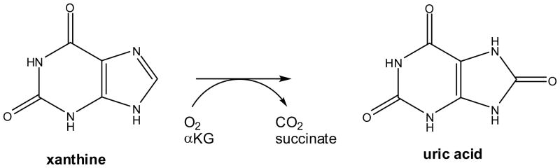 Scheme 4