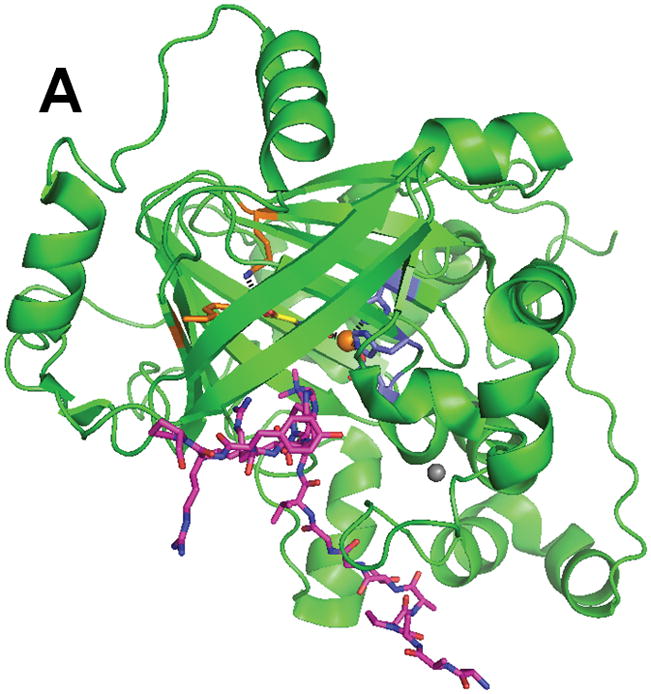 Fig. 7