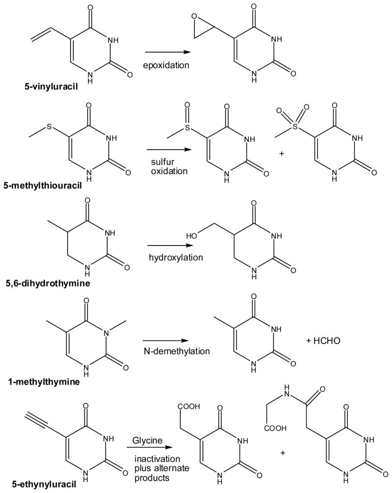 Scheme 3