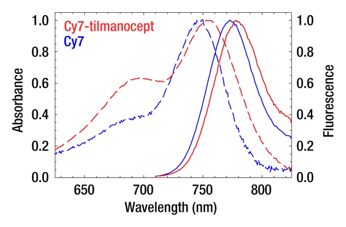 Figure 1b: