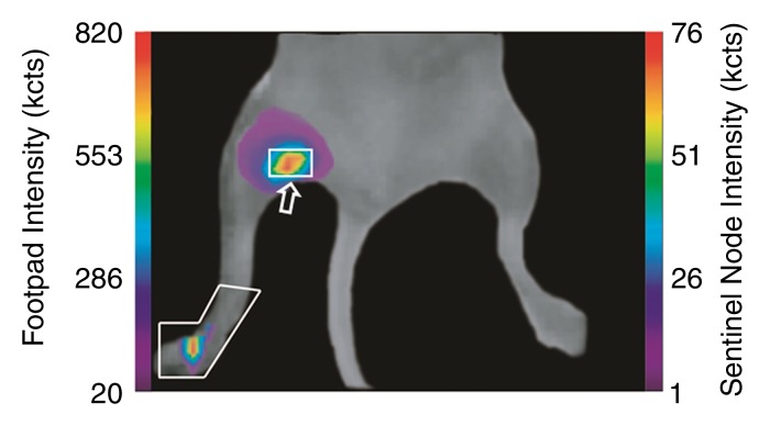 Figure 3a: