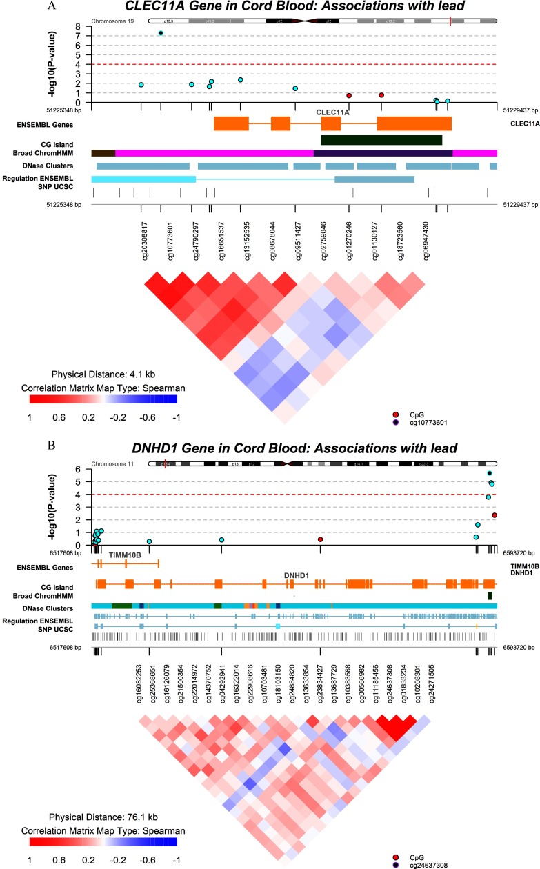 Visualization of regional DNA comethylation patterns.