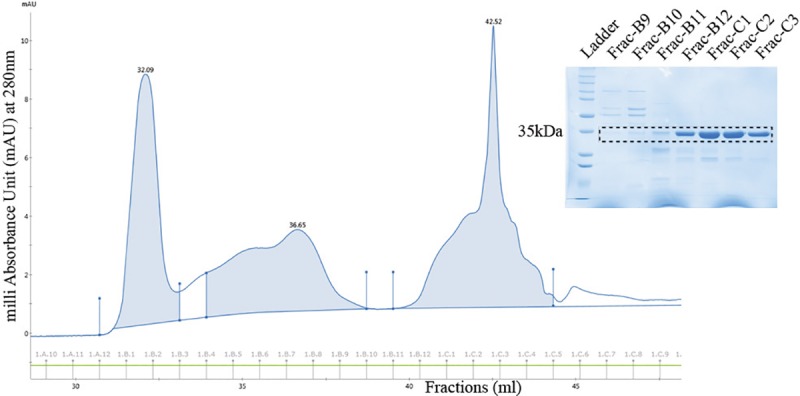 Fig 3