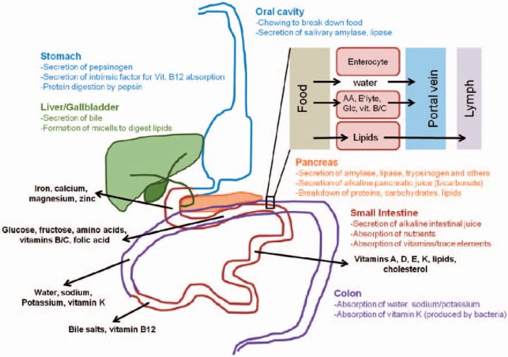 Fig. 1