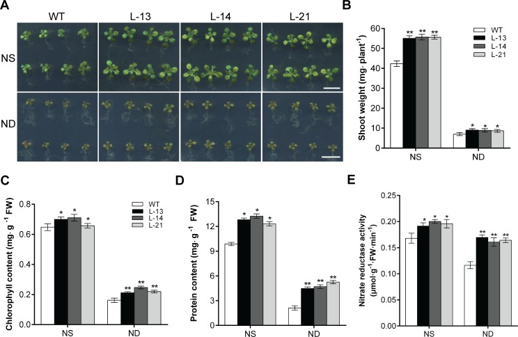 Fig 3