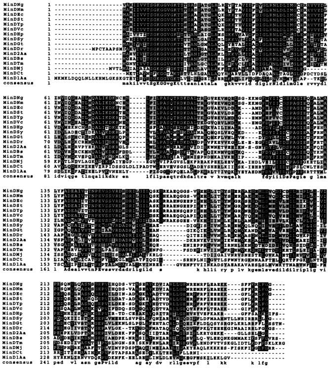 FIG. 5