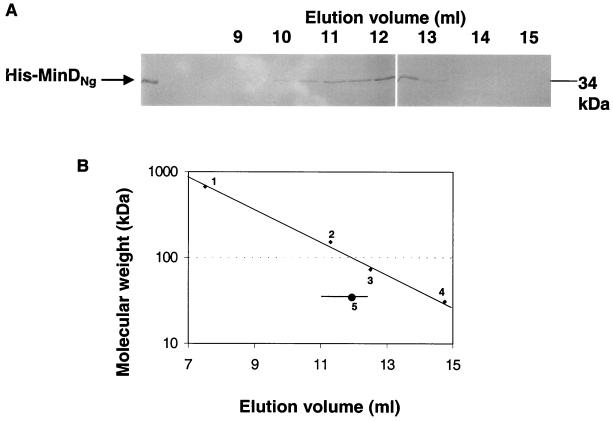 FIG. 8