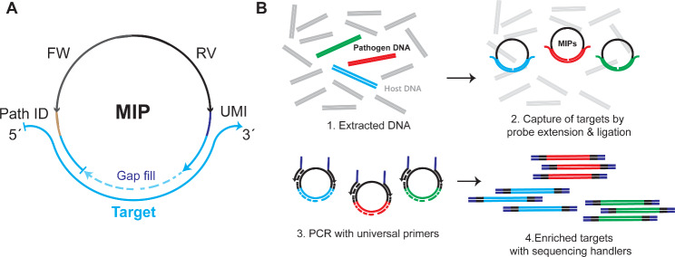 Fig. 1