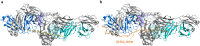 a Superposition of the structures of B6-D9 and E2-RecA Fabs bound to human CD38 showing that the distance between the C-terminal part of B6-D9 and the N-terminal part of E2-RecA is more than 96 Å. b Model of an artificial (G4S)8 linker between B6-D9 and E2-RecA illustrating the minimum length required to enable ISB 1442 to bind to the same antigen.