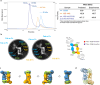 a Light scattering data and measured molecular mass of ISB 1442, CD38 and ISB 1442/CD38 complex were assessed by SEC-MALS. The plot shows an overlay of the chromatograms as a function of elution time. b Single-particle 2D class average reconstructions of the ISB 1442/CD38 complex (left) and schematic diagram (right) illustrating the stoichiometry of the complex observed from negative-stained images. c 360 degrees views of low-resolution negative-stain electron microscopy maps of the ISB 1442/CD38 complex in different orientations, showing two ISB 1442 dual fab arm bound to two CD38 in an antiparallel fashion. d The envelope from the negative-stain electron microscopy map is shown as a transparent surface overlaying the modeled crystal structure of the Fabs and CD38 antigen complex.