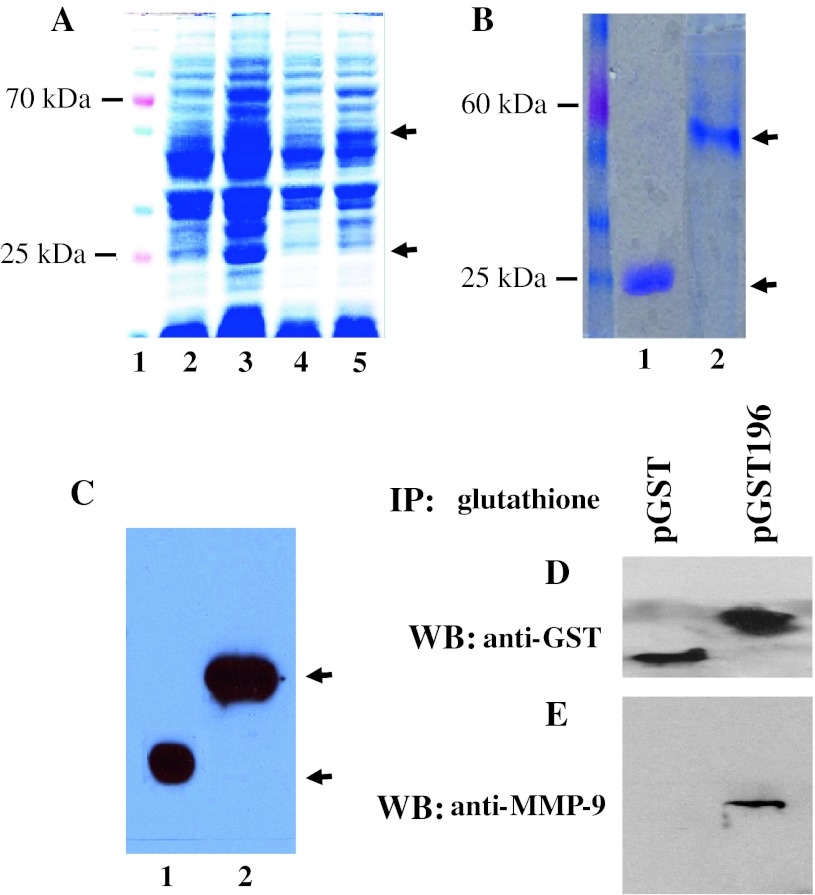 Fig. 6