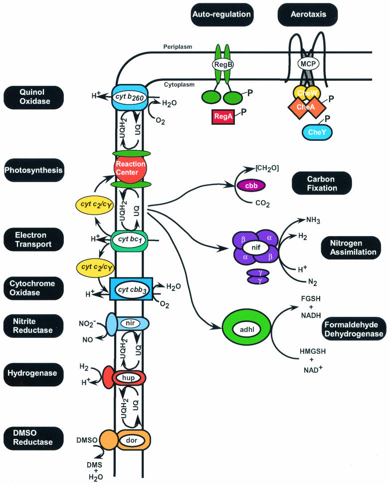 FIG. 4.