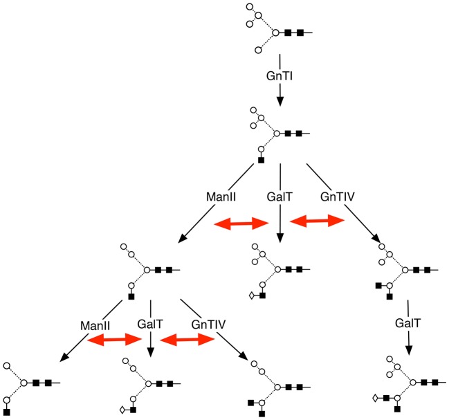 Fig. 5.