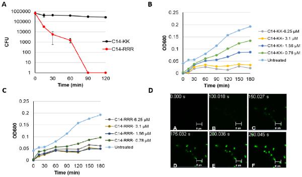 Fig. 2