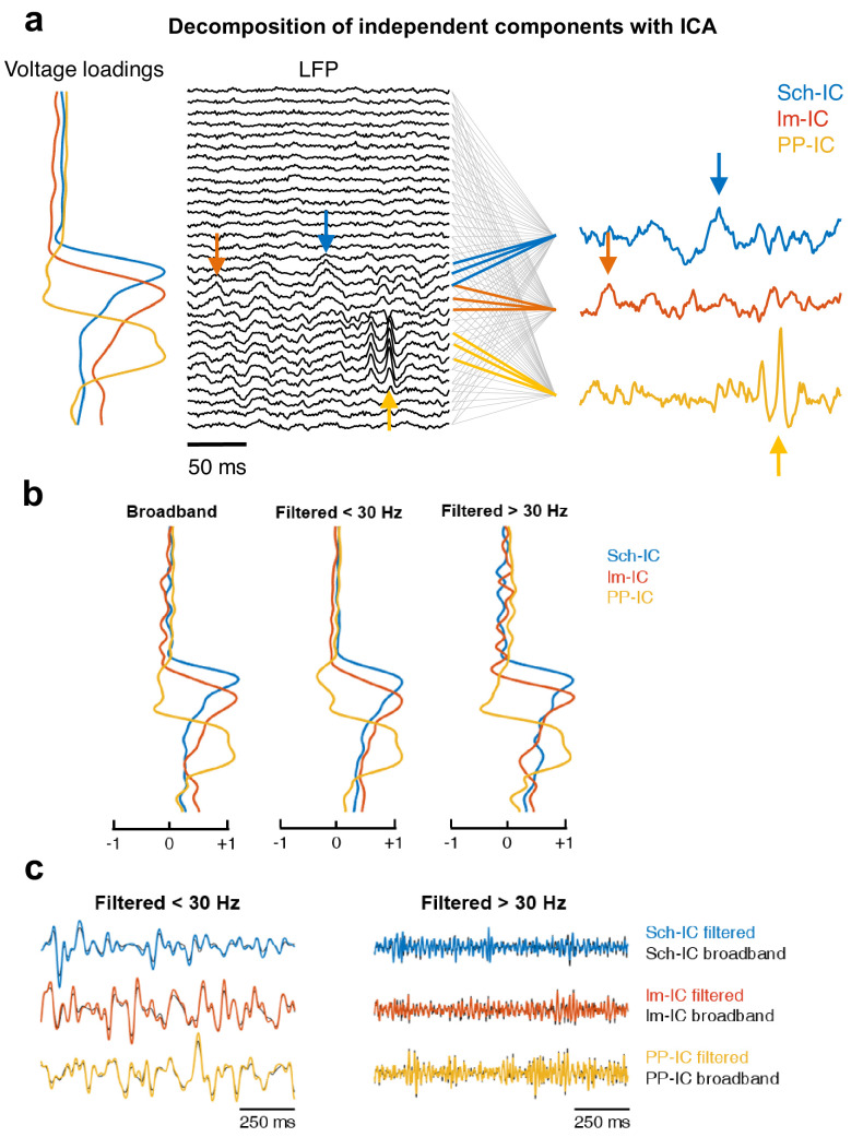 Figure 1—figure supplement 1.