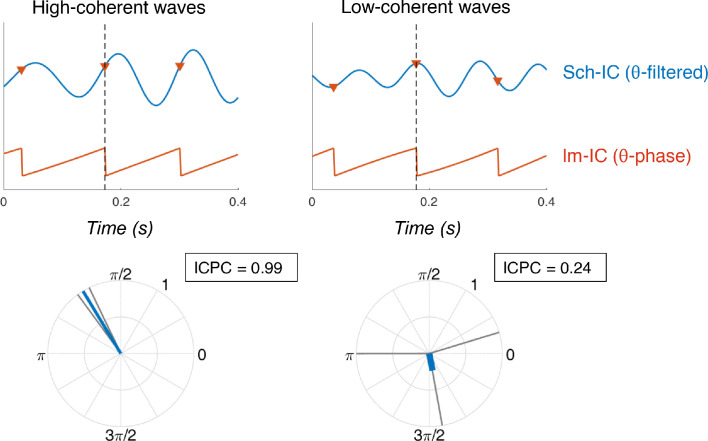 Figure 1—figure supplement 3.