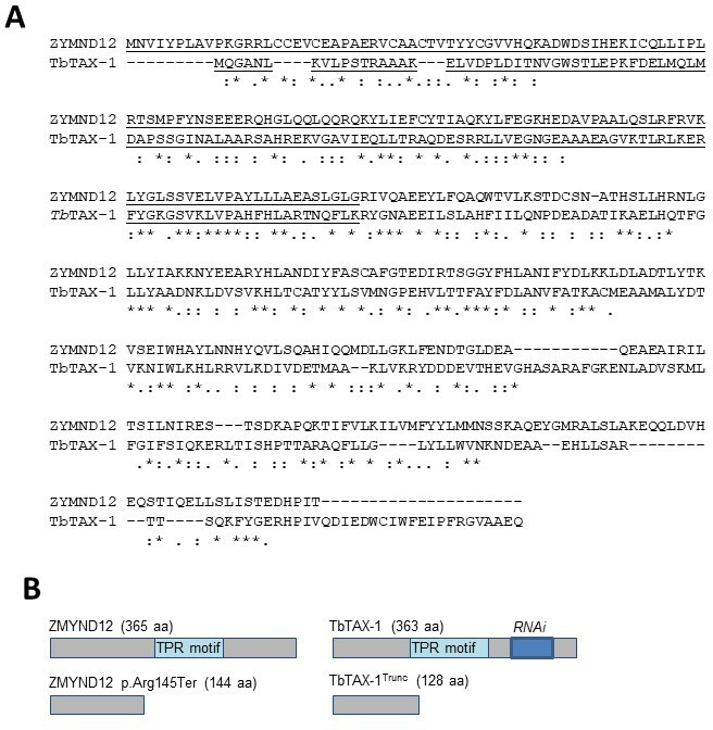 Figure 3—figure supplement 1.