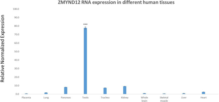 Figure 1—figure supplement 1.