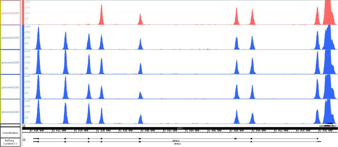 Figure 1—figure supplement 2.