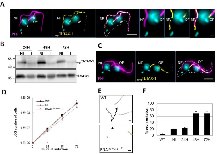 Figure 3.