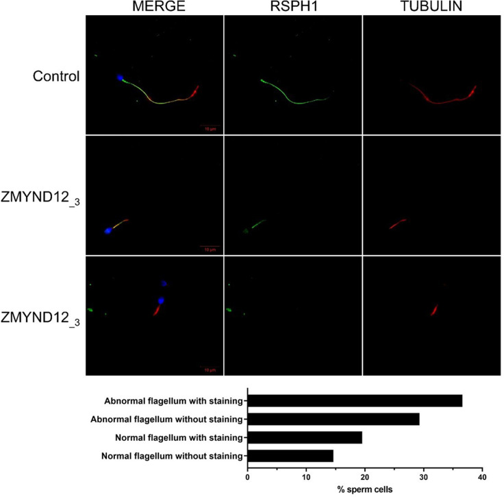 Figure 2—figure supplement 3.