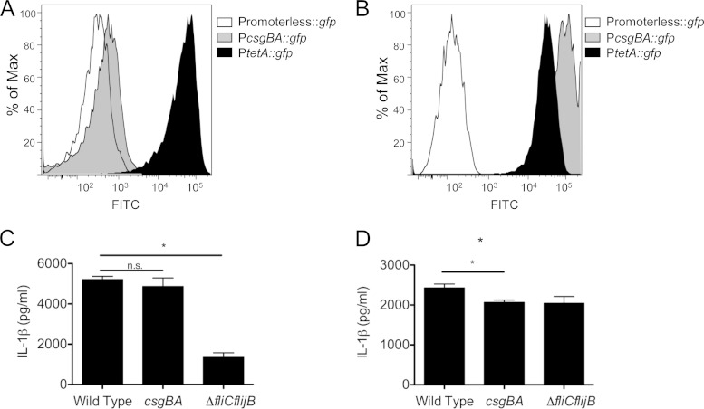 FIG 4