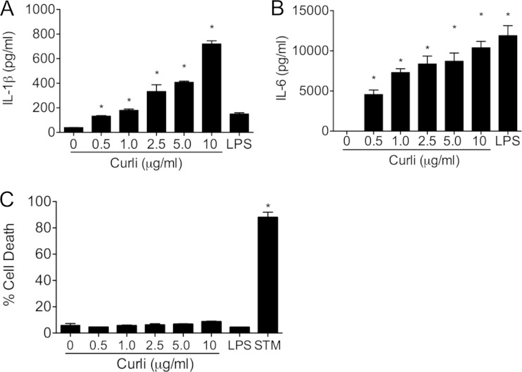 FIG 1