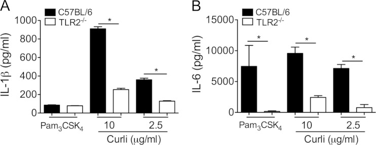 FIG 2