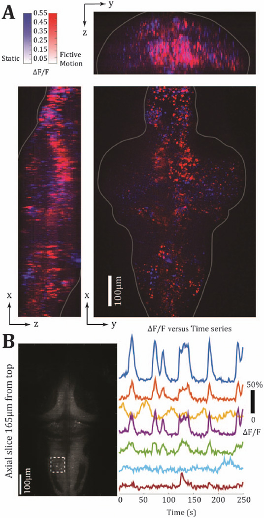 Fig. 3