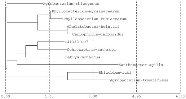 Fig. 7