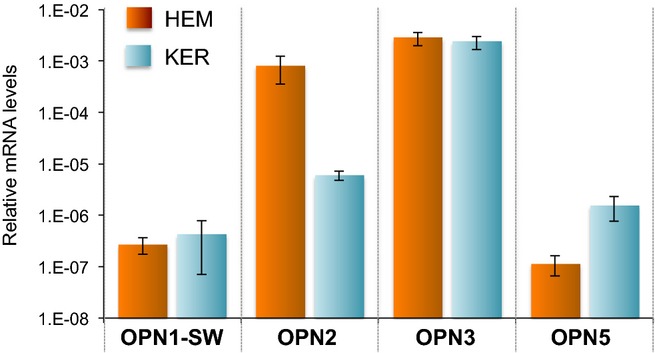 Figure 5