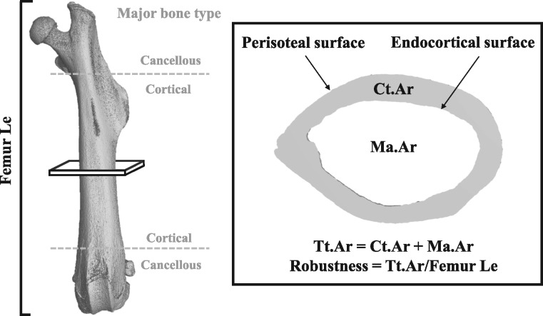 Figure 1: