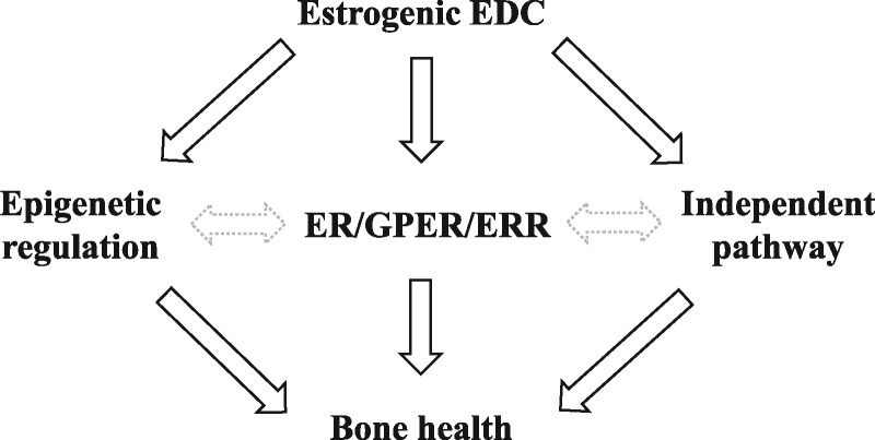 Figure 3: