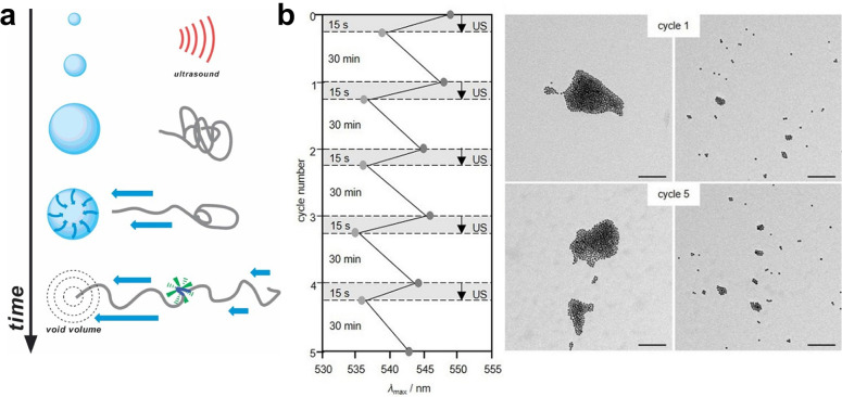 Figure 20