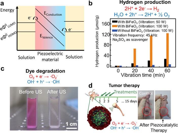 Figure 21