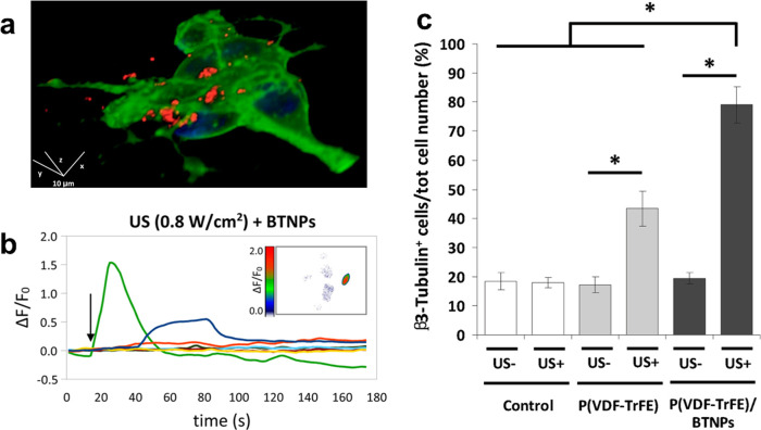 Figure 22