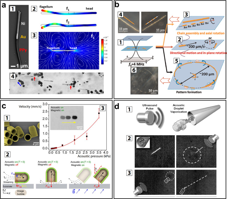 Figure 24