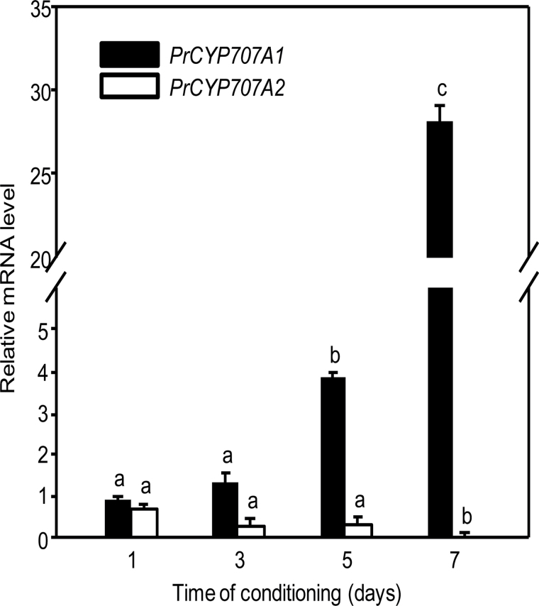 Fig. 3. 