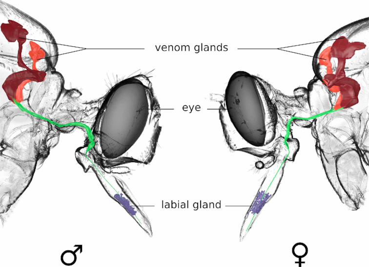 Fig. 1: