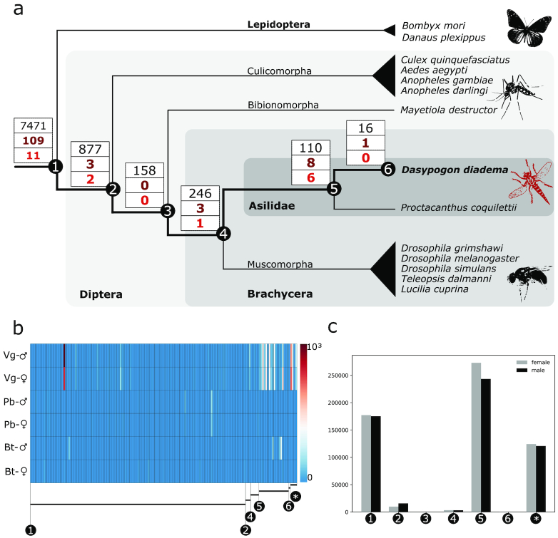 Fig. 3: