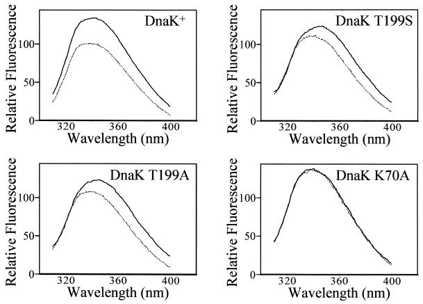 FIG. 5