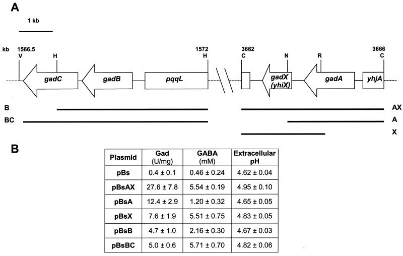 FIG. 1.