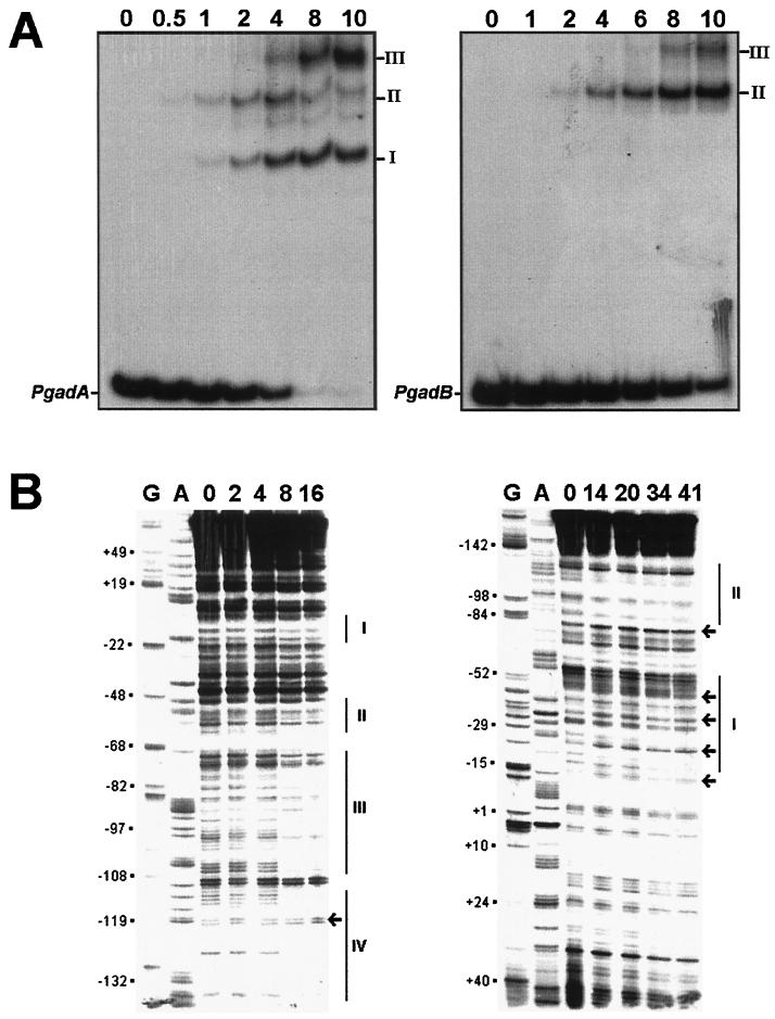 FIG. 7.